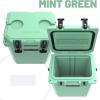 imageCAMPZERO 16L169 Quart Portable Hard Cooler with Divider Perfect for Drinks Wine Bottles Lunch Beach Picnics Boating Camping Travel with 2 Moldedin Cup Holders and Folding Aluminum HandleMint Green