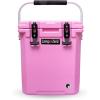 imageCAMPZERO 16L169 Quart Portable Hard Cooler with Divider Perfect for Drinks Wine Bottles Lunch Beach Picnics Boating Camping Travel with 2 Moldedin Cup Holders and Folding Aluminum HandlePink